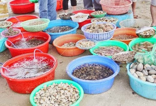 Cham Island Seafood