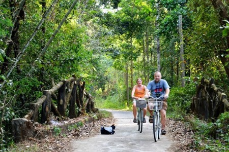 Nam Cat Tien National Park Biking 1 Orig