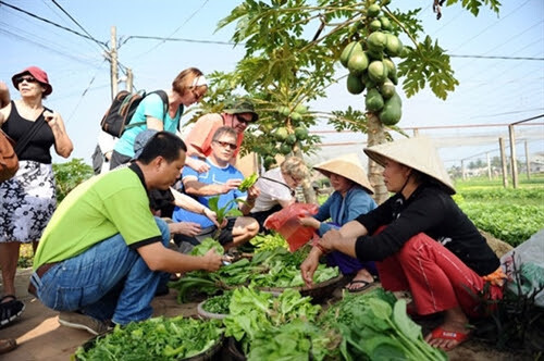 Tra Que Vegetable Village